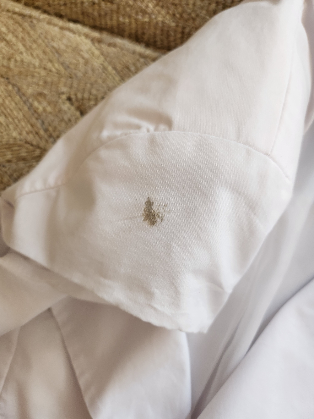 New York & Company White Short Sleeve Ruffled Blazer - Picture 3 of 5